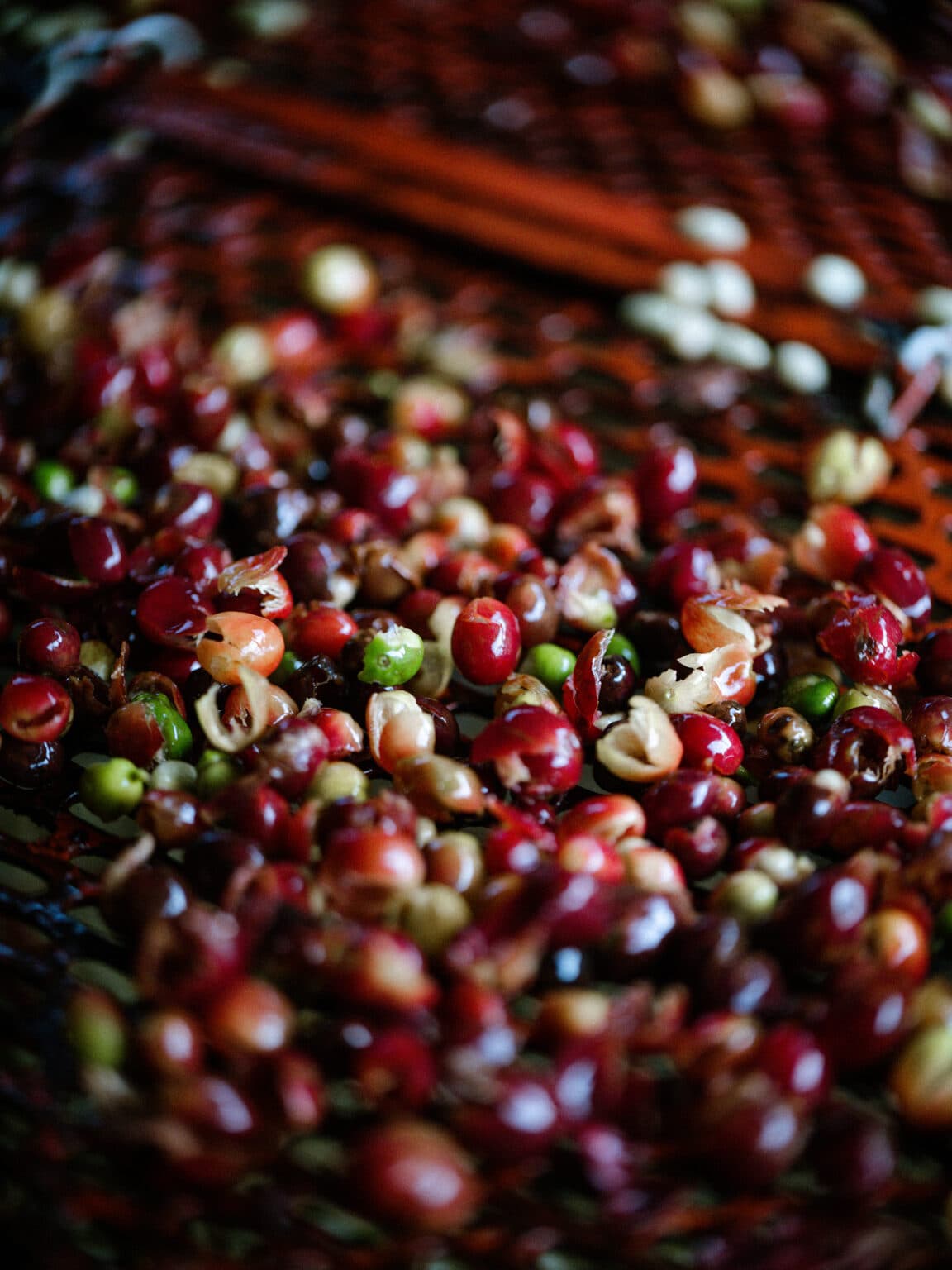 Imagen de sostenibilidad DSF7536